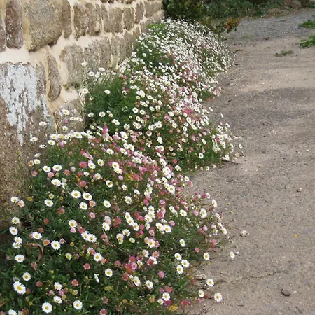 In Near Mont Saint Michel בית נופש *