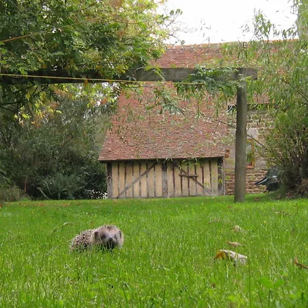 In Near Mont Saint Michel *