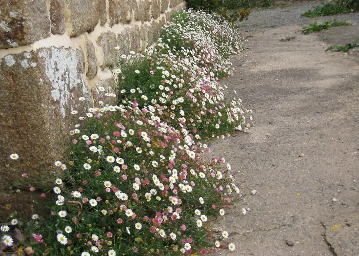 In Near Mont Saint Michel Ferienhaus *