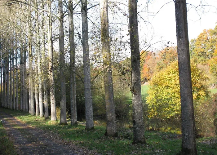 In Near Mont Saint Michel *
