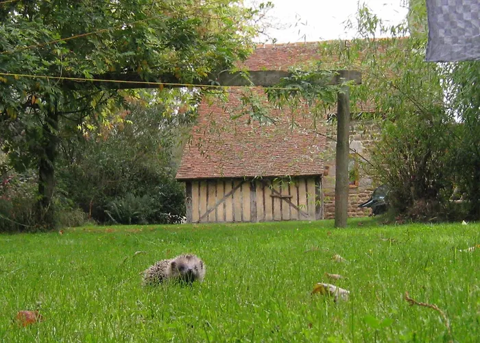 In Near Mont Saint Michel *